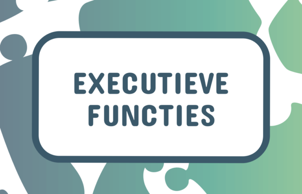 Wat zijn executieve functies?