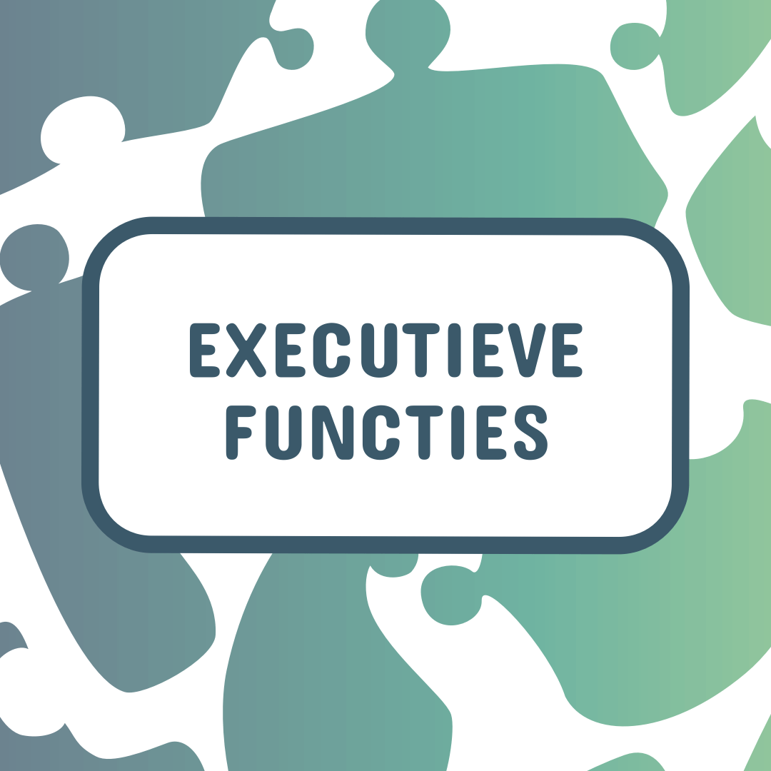 Wat zijn executieve functies?